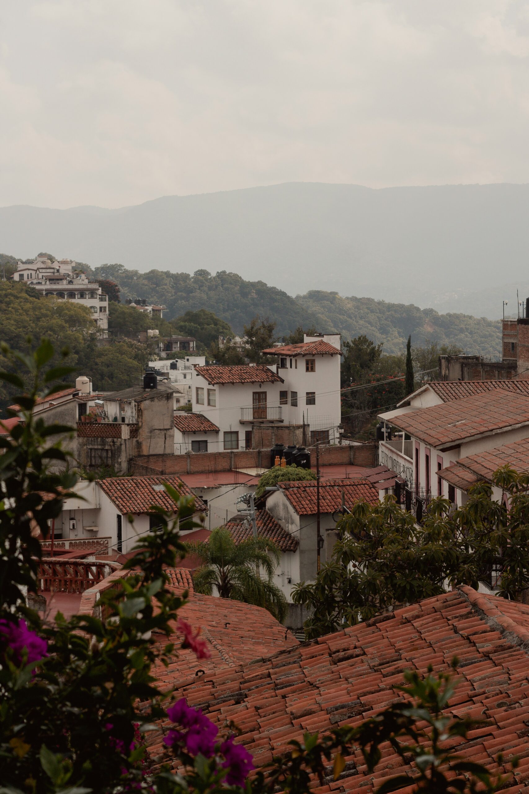 Arquitectura sostenible y su impacto en el medio ambiente