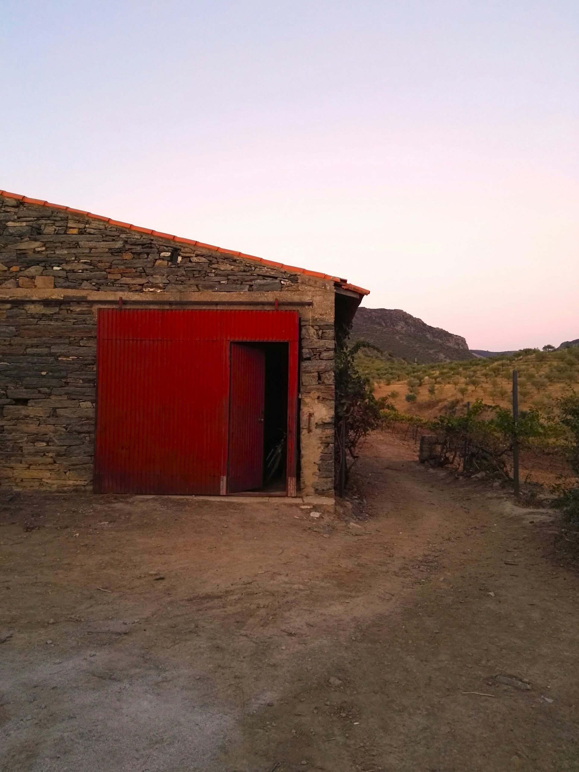 Elementos clave para crear un ambiente acogedor en casa